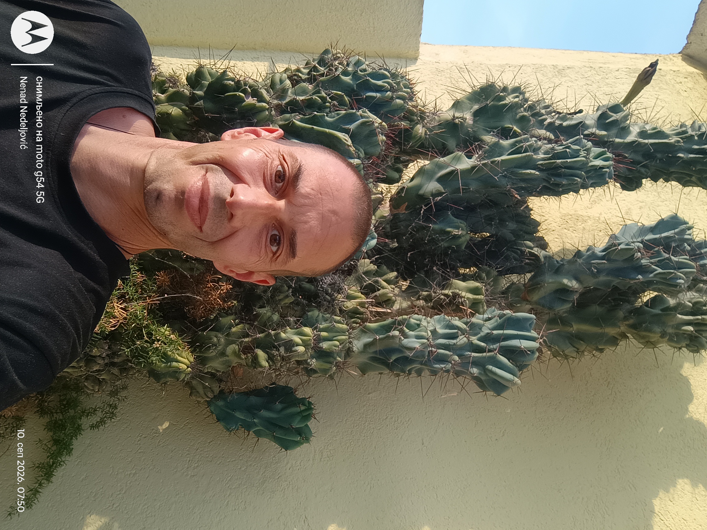 nenad.strxqqq@mail.com